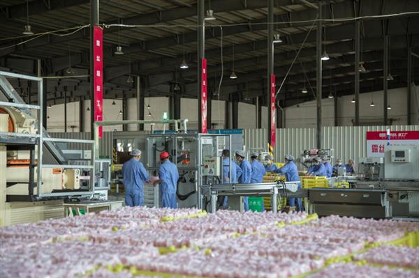 抖音电商“遇见好国货”助力品牌焕新 传统日化工厂在抖音商城完成转型